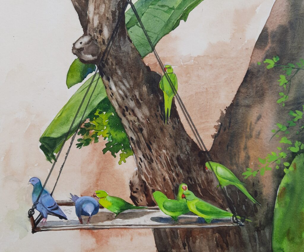tito-birds