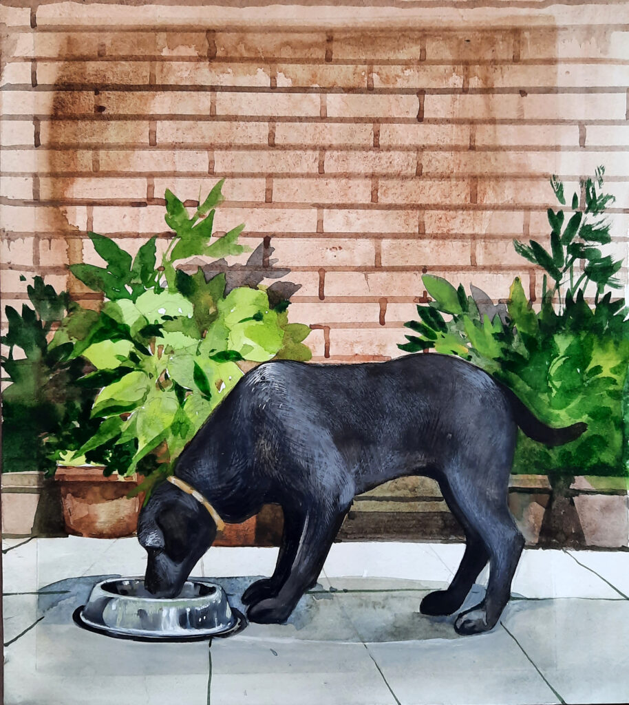 feeding-tito