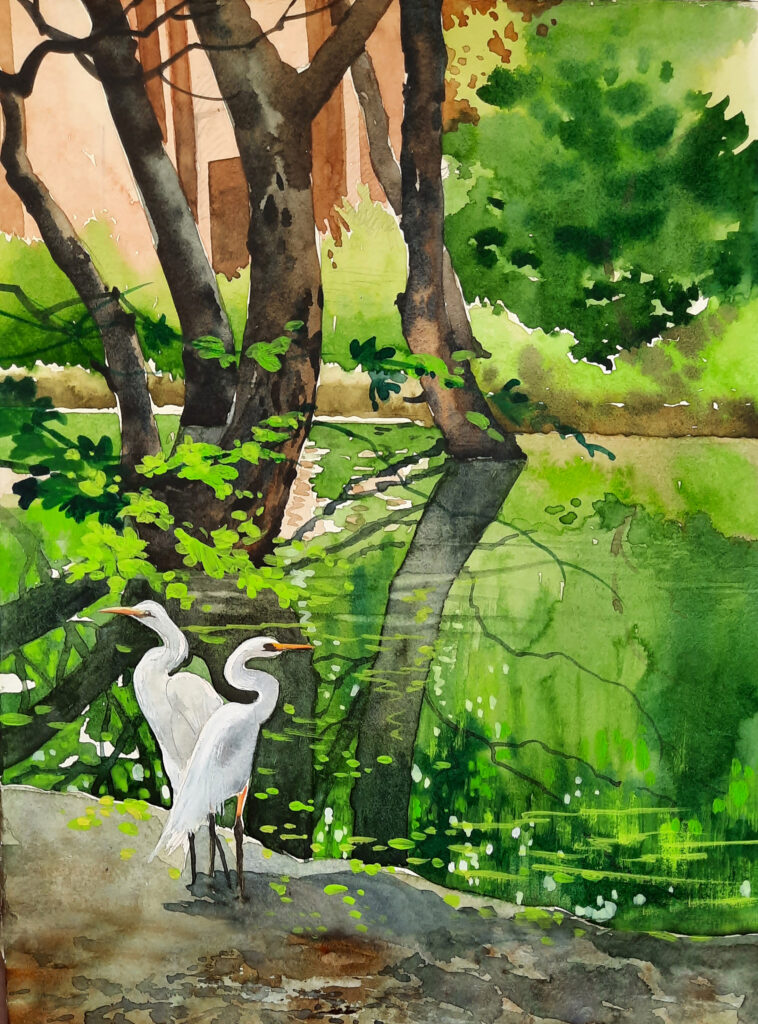 iima-lake-superiro